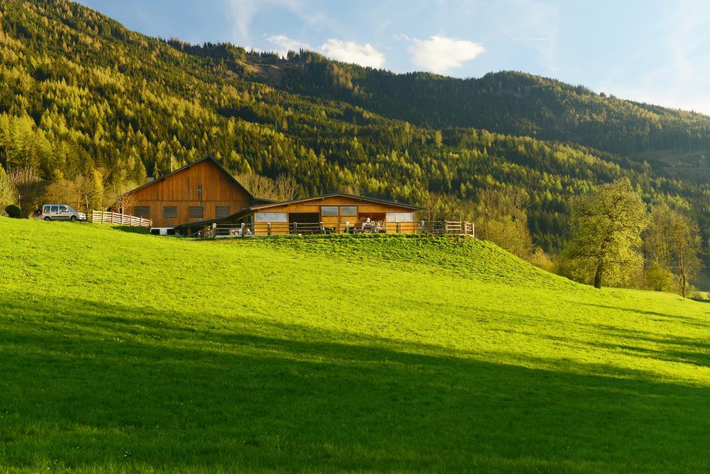 Huettstaedterhof Familie Poetsch Villa Aigen im Ennstal Exterior foto